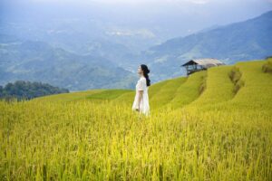 Art of Communication 15 Read more about the article Art of Communication