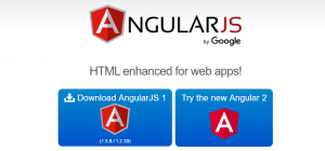Read more about the article Introduction To AngularJS