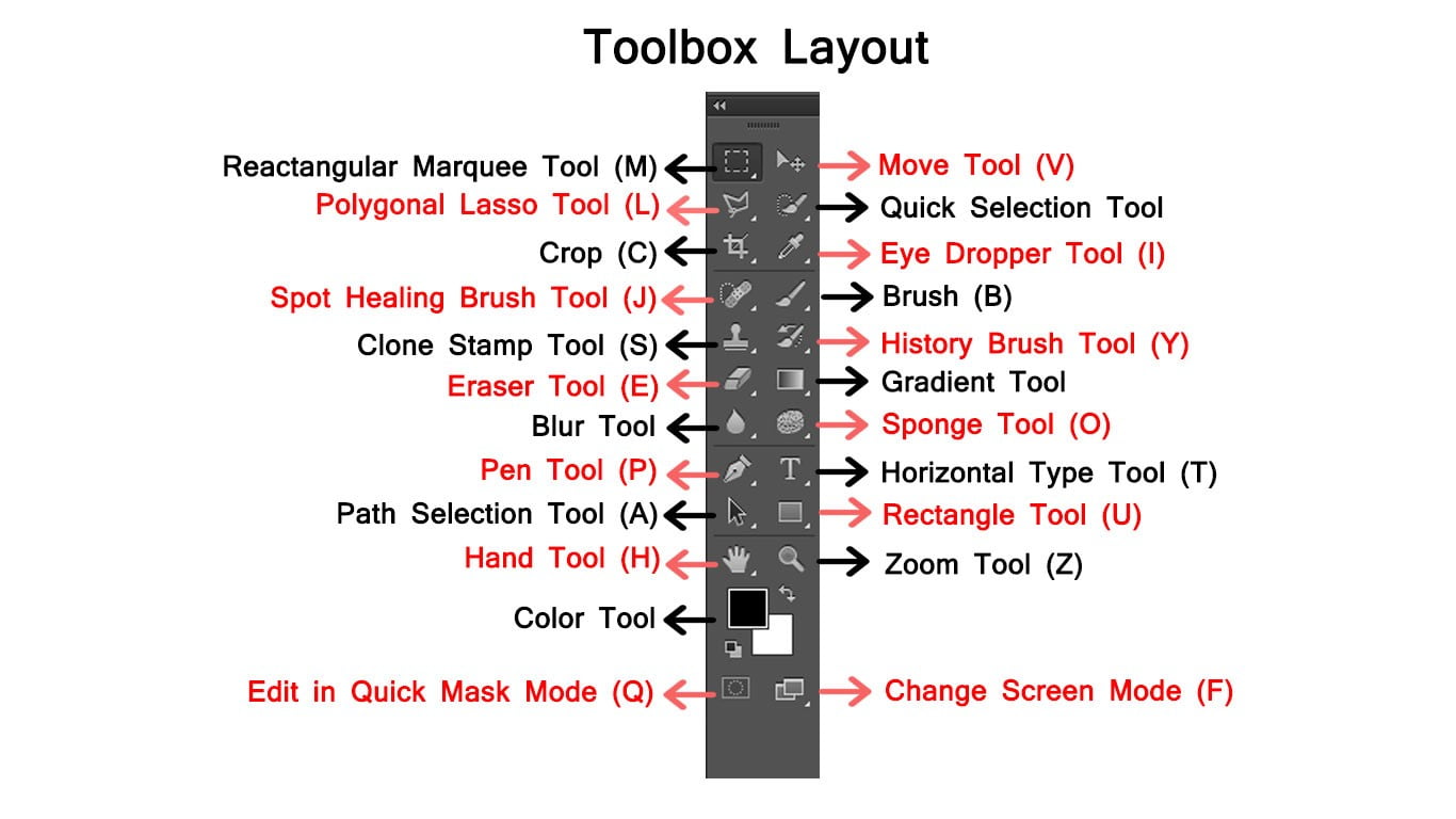 You are currently viewing Introduction to Tools in Photoshop