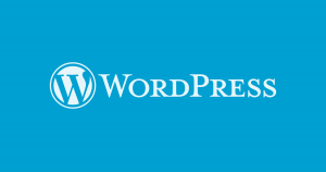 Introduction to WordPress: Beginners Guide 10 introduction-to-wordpress