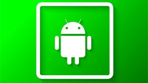 Read more about the article How to get the Selected item position and Value in spinner in Android?